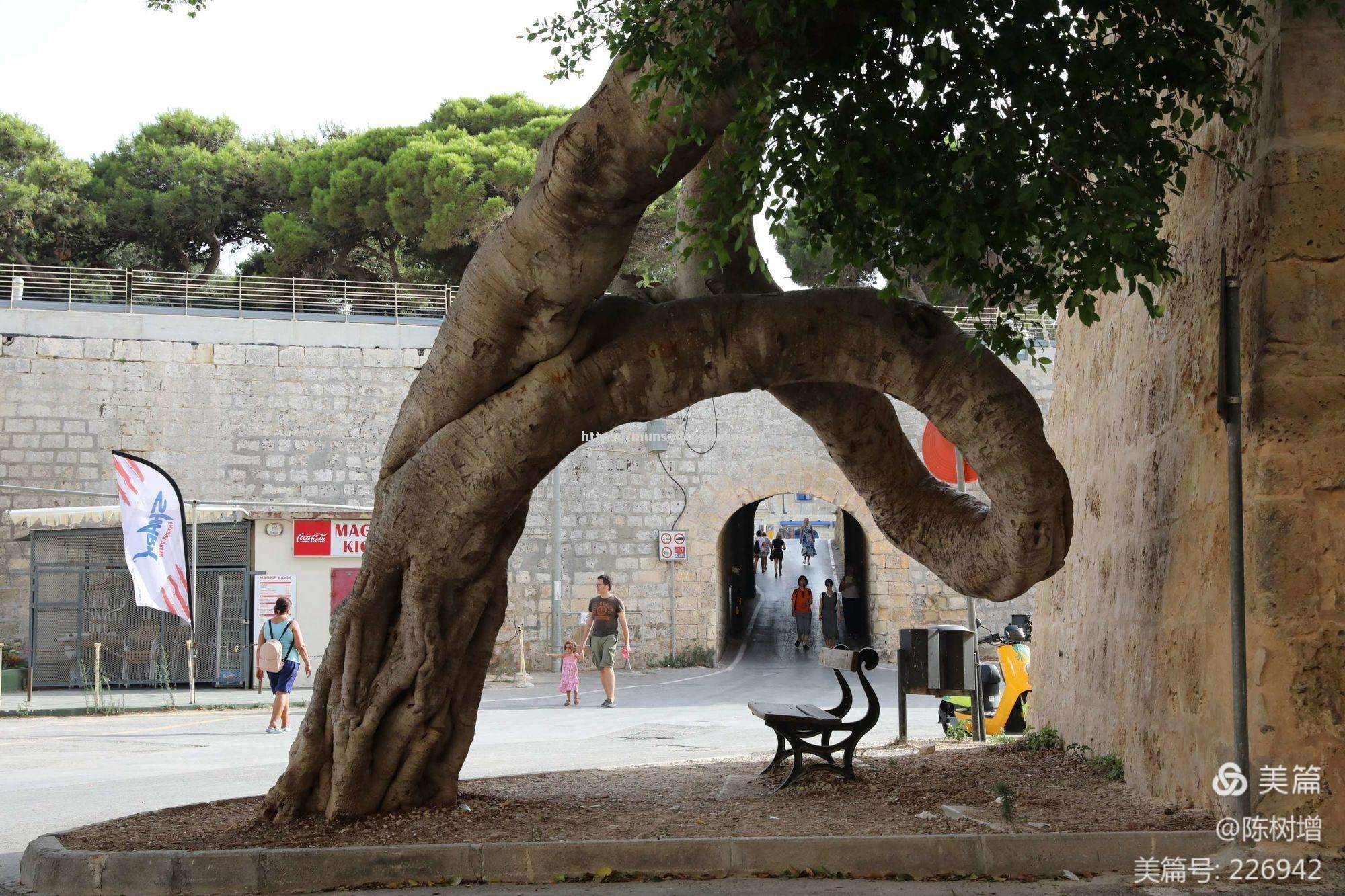 摩纳哥主场大胜尼斯，卫冕之路依旧坚挺